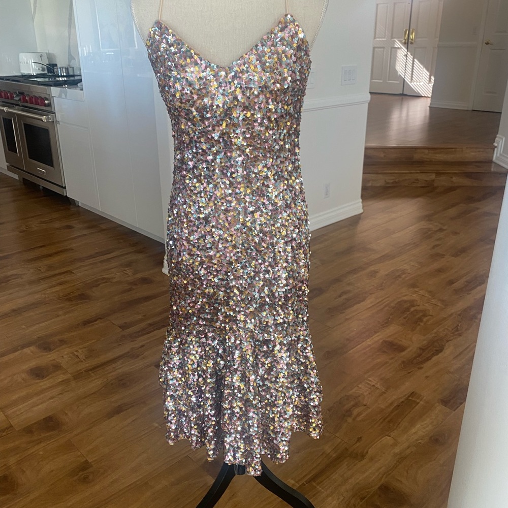 Rose Pink and Gold Sequence dress.
